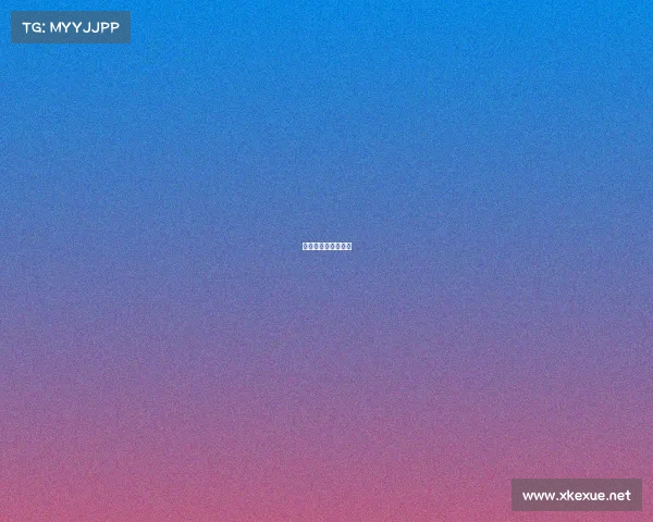 女排有哪些国际赛事